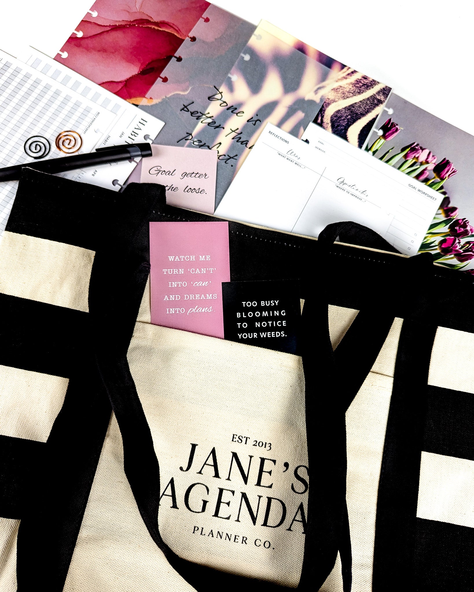 June Monthly Planner Subscription by Jane's Agenda for discbound and ringbound planner sizes..