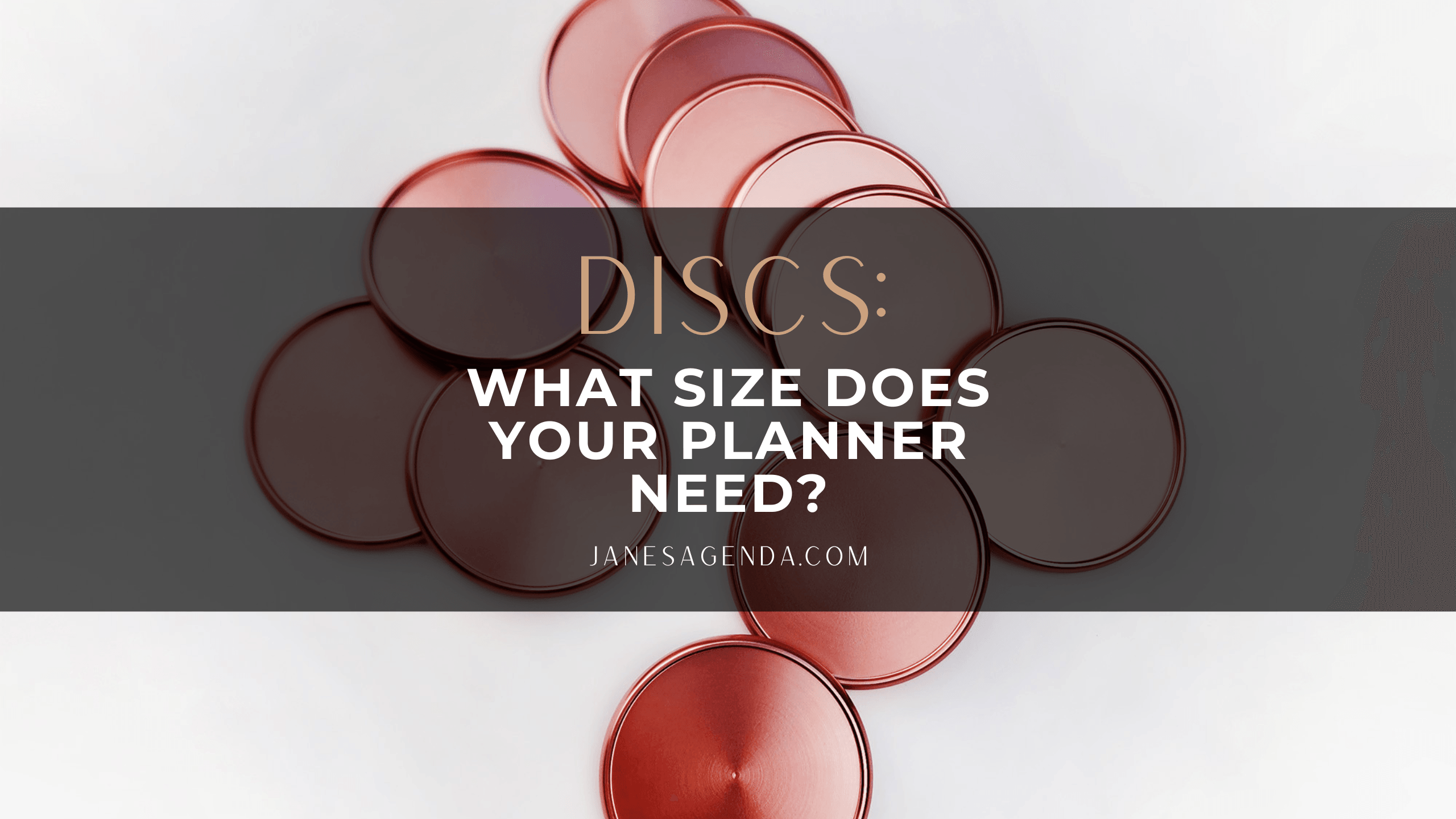 Blog post, what size discs does your planner need
