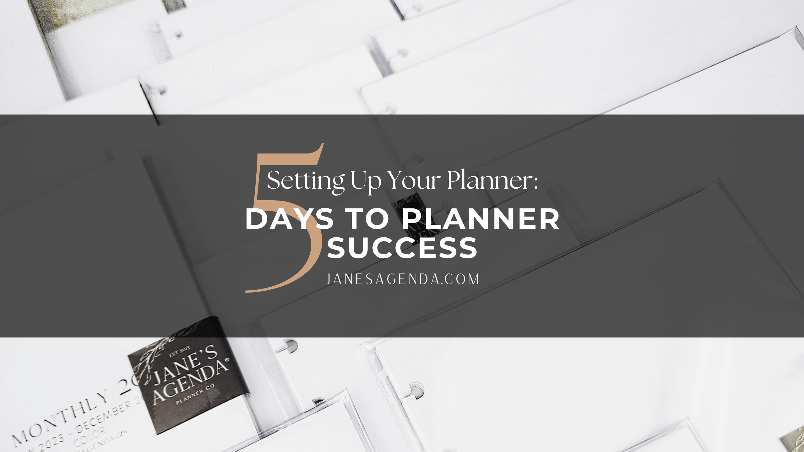 Jane's Agenda 5 days to planner success