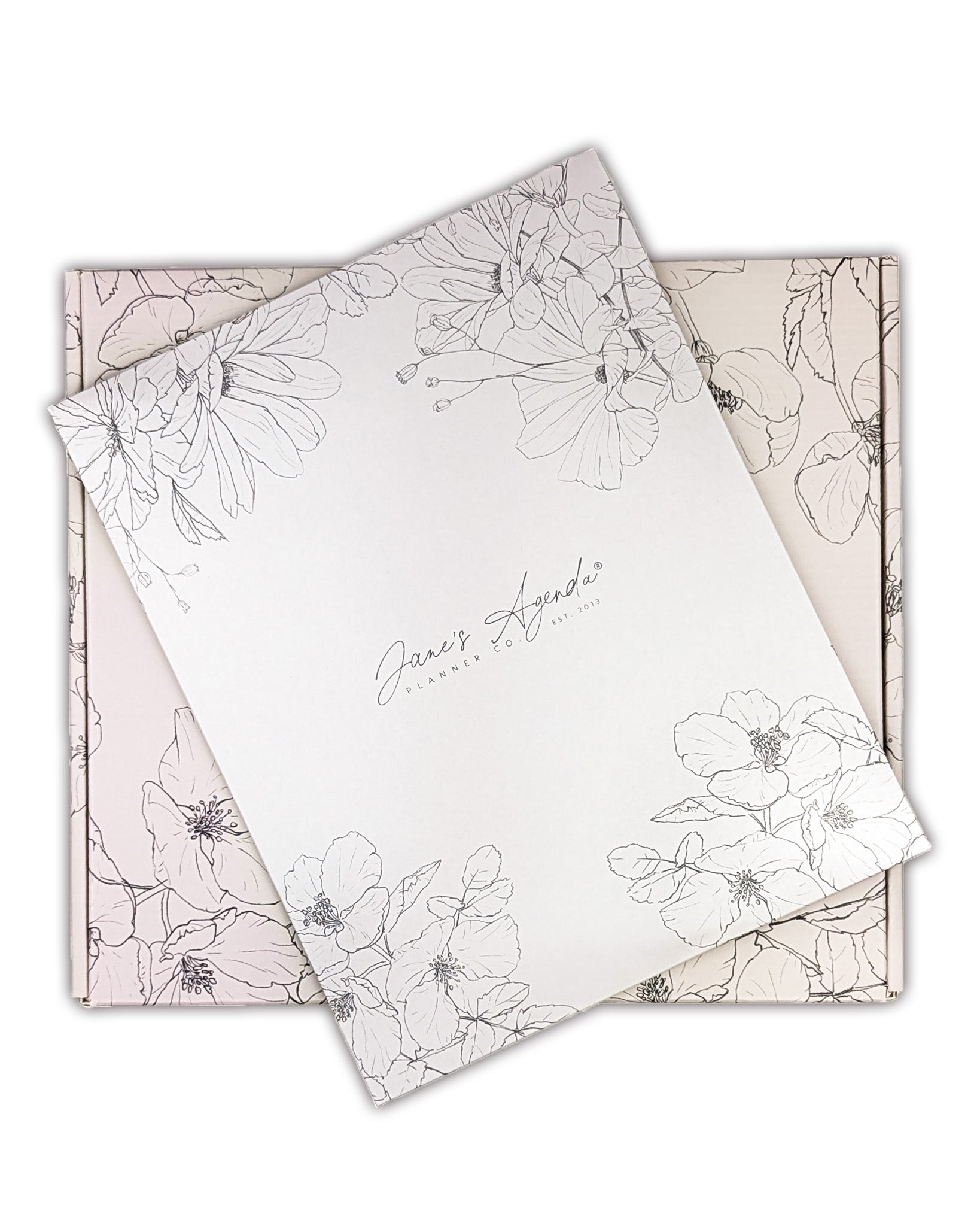 Deluxe Monthly Planner Lifestyle Subscription Box by Jane's Agenda for discbound planners, and A5 size planner binder systems.