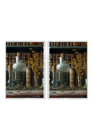 Reversible planner cover with apothecary jars and herbs by Jane's 
Agenda