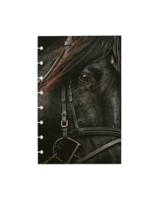 A discbound planner dashboard with an image of a black stallion horse over a white background.