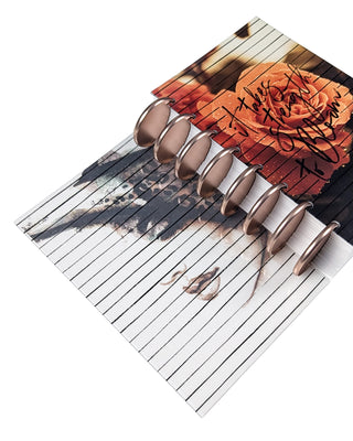 Clear Plastic Planner Dashboards | Set of 2 | Bloom