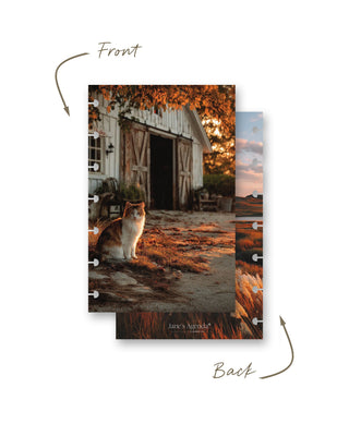 Front and back views of a Jane’s Agenda discbound planner dashboard featuring a cozy autumn farm scene with a cat sitting outside a rustic white barn surrounded by warm orange fall foliage.