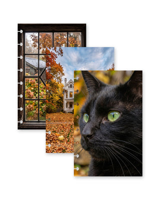Jane’s Agenda fall-themed discbound planner dashboards featuring three coordinating autumn designs: a rustic window overlooking colorful fall foliage, a charming white Victorian house surrounded by golden leaves and pumpkins, and a close-up of a black cat with bright green eyes. Each dashboard features disc-punched edges for easy planner customization.