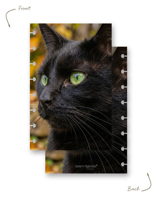 Jane’s Agenda reversible discbound planner dashboard featuring a close-up photograph of a black cat with striking green eyes against a softly blurred autumn background. Both front and back display the same cat design, with disc-punched edges for easy planner customization.