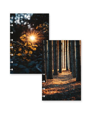 Jane’s Agenda reversible fall-themed discbound planner dashboard featuring golden sunlight shining through autumn leaves on one side and a peaceful forest pathway lined with tall trees on the other. Both designs showcase warm golden tones, rich shadows, and nature-inspired scenery, with disc-punched edges for easy planner customization.