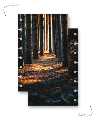Jane’s Agenda reversible discbound planner dashboard featuring a peaceful forest pathway lined with tall trees and warm golden sunlight on the front, paired with a coordinating autumn foliage design on the back. Both sides feature disc-punched edges for easy use in a discbound planner.