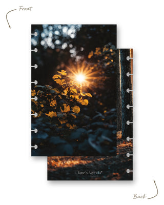 Jane’s Agenda reversible fall dashboard shown from the front and back, featuring warm sunlight glowing through golden autumn leaves on the front and a coordinating wooded scene on the back. Both sides are disc-punched for easy addition to a discbound planner.