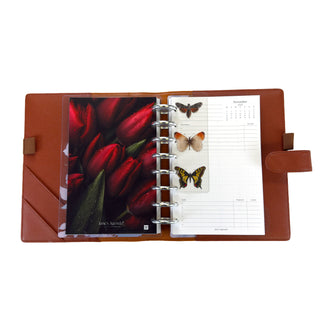 Clear Page Finder | Entomology | Discbound