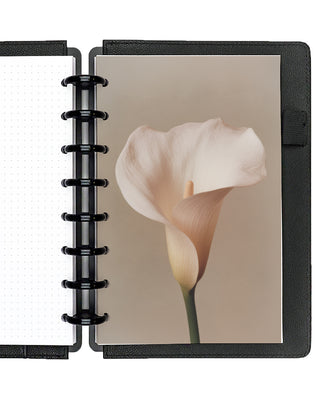 Cream calla lily against a beige background, snapped into a planner with Black Plastic Discs and Black Vegan Leather Snap-on Cover on a white background. 