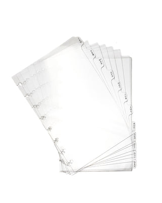 A complete set of 12 transparent frosted monthly planner tab dividers fanned out on a white background. Each durable plastic divider is labeled from January through December, with rounded monthly tabs and discbound mushroom punches, providing a clean, minimalist way to organize a planner by month.