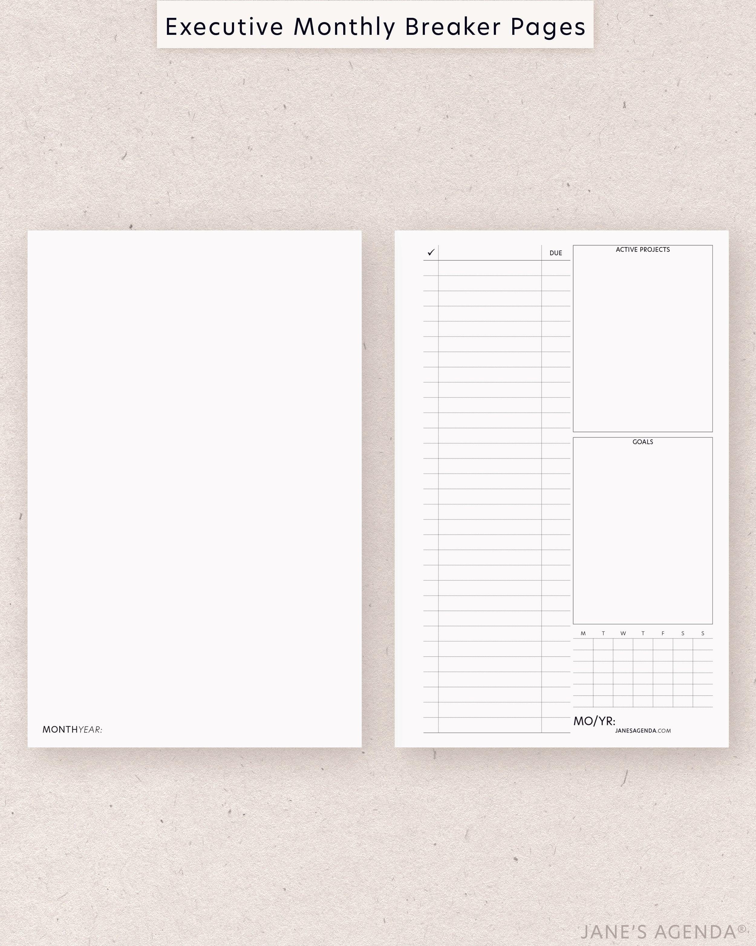 12 Monthly Planner Dashboard Set, Vellum Dashboards, A5/personal