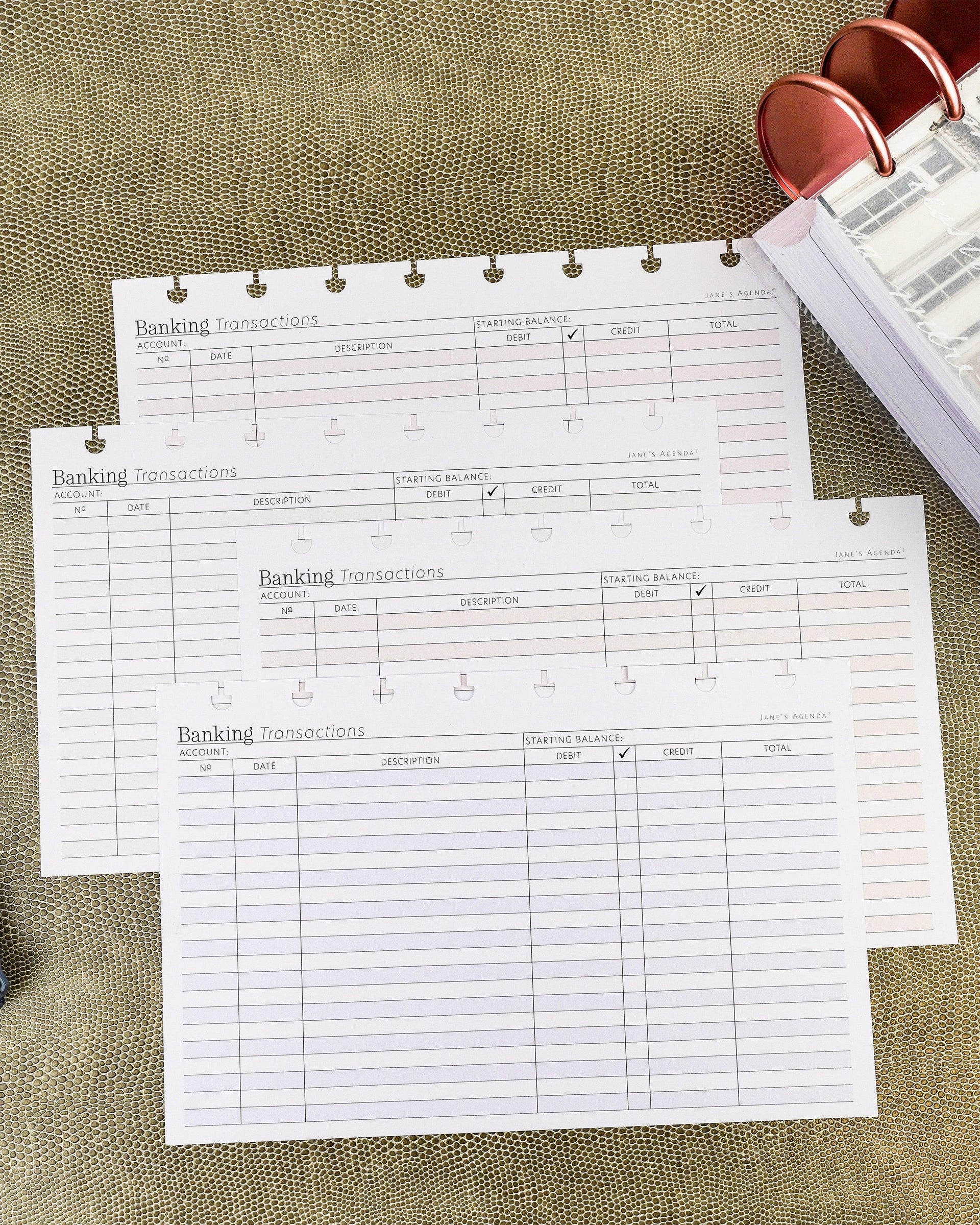 Transactions planner inserts in a horizontal layout for discbound and six ring planner systems by Jane's Agenda.