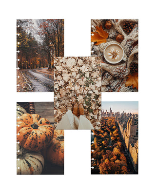 Five Autumn-themed planner dashboards featuring an overhead view of fallen leaves, a cozy spiced latte, decorative gourds, an afternoon view of New York in Autumn, and a scenic fall back road