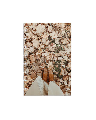 Overhead view of fallen leaves