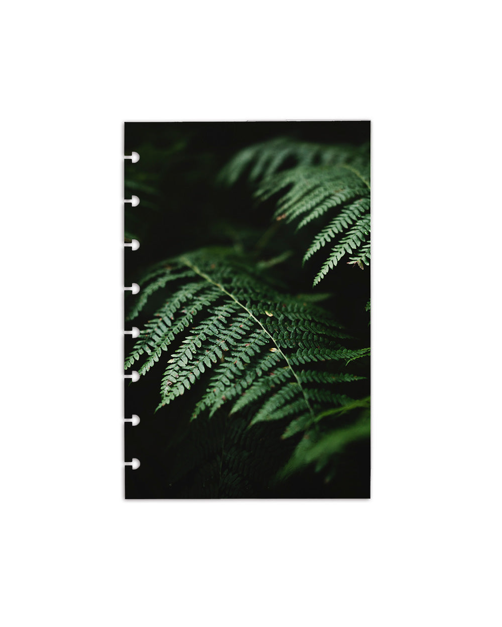 Fern botanical planner dashboard for discbound planners and disc notebooks by Jane's Agenda.