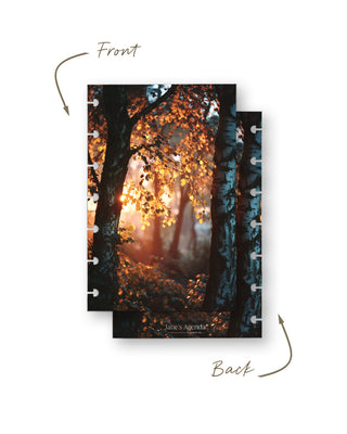 Front and back views of a discbound planner dashboard featuring warm golden sunlight shining through autumn trees with glowing orange leaves and dark birch trunks.