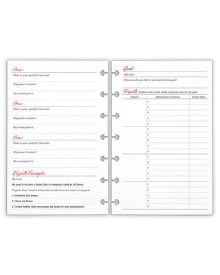 Goals Planner Inserts for Discbound Planner Systems by Jane's Agenda.