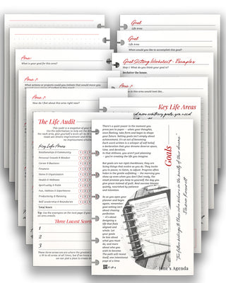Goals Planner Inserts for Discbound Planner Systems by Jane's Agenda.