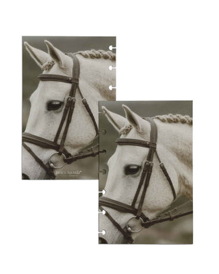 Jane's Agenda two-sided discbound planner dashboards with white dressage horse and leather bridle equestrian photography