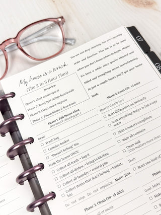 Jane's Agenda 'My House is a Wreck' phased home cleaning plan Planner Insert with Tabbed Dividers — practical home reset checklist Refill for Discbound Planner systems
