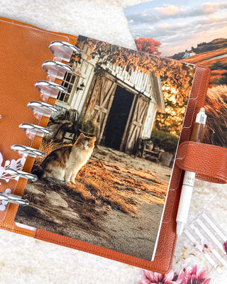 Jane’s Agenda discbound planner featuring a rustic autumn dashboard with a cat sitting outside a white barn surrounded by golden fall foliage. Styled in a warm brown leather cover with silver discs, a white pen, and a coordinating autumn landscape dashboard.