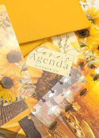 July 2025 Planner Subscription Box filled with Planner Items and Accessories For Discbound Planners.