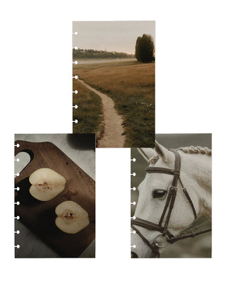 Jane's Agenda discbound planner dashboard set – countryside path, dark food photography pears, and equestrian horse portrait inserts in moody earth tone aesthetic