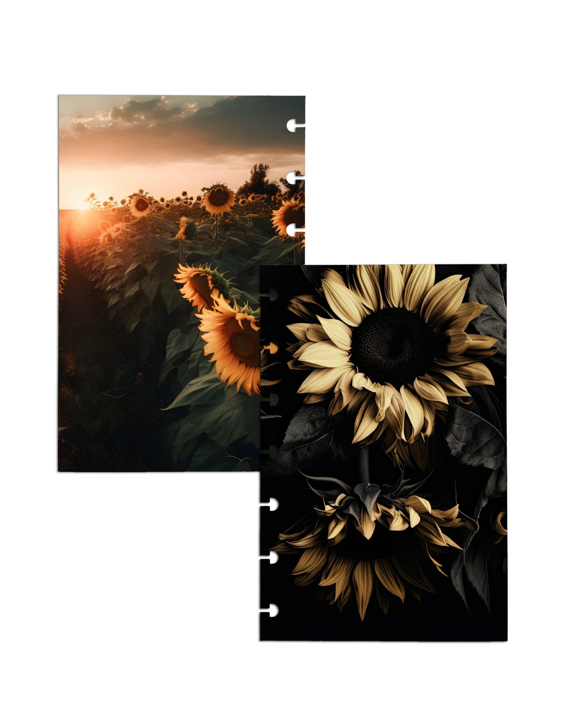 Planner Dashboard Set | Moody Sunflowers