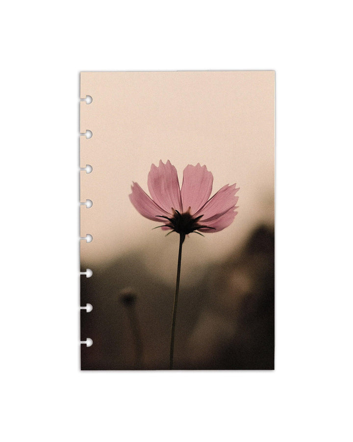 A decorative planner dashboard for your discbound planner or ringbound binder by Jane's Agenda.