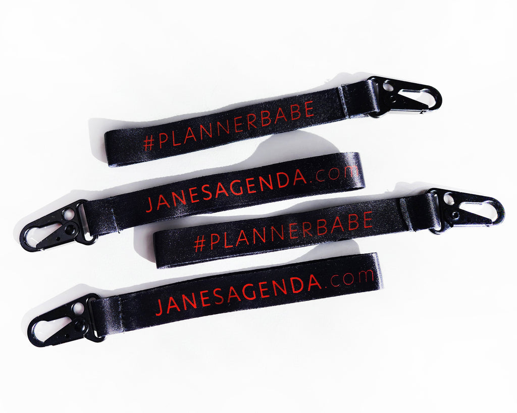 Janes Agenda planner babe key chain and lanyard.