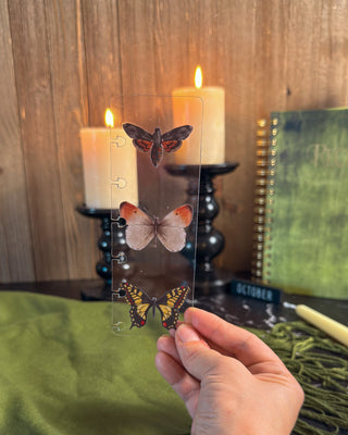 Hand holding a clear discbound planner pagefinder decorated with three colorful moth and butterfly illustrations, styled in front of glowing candles, a green recipe book, and cozy olive-toned accents.