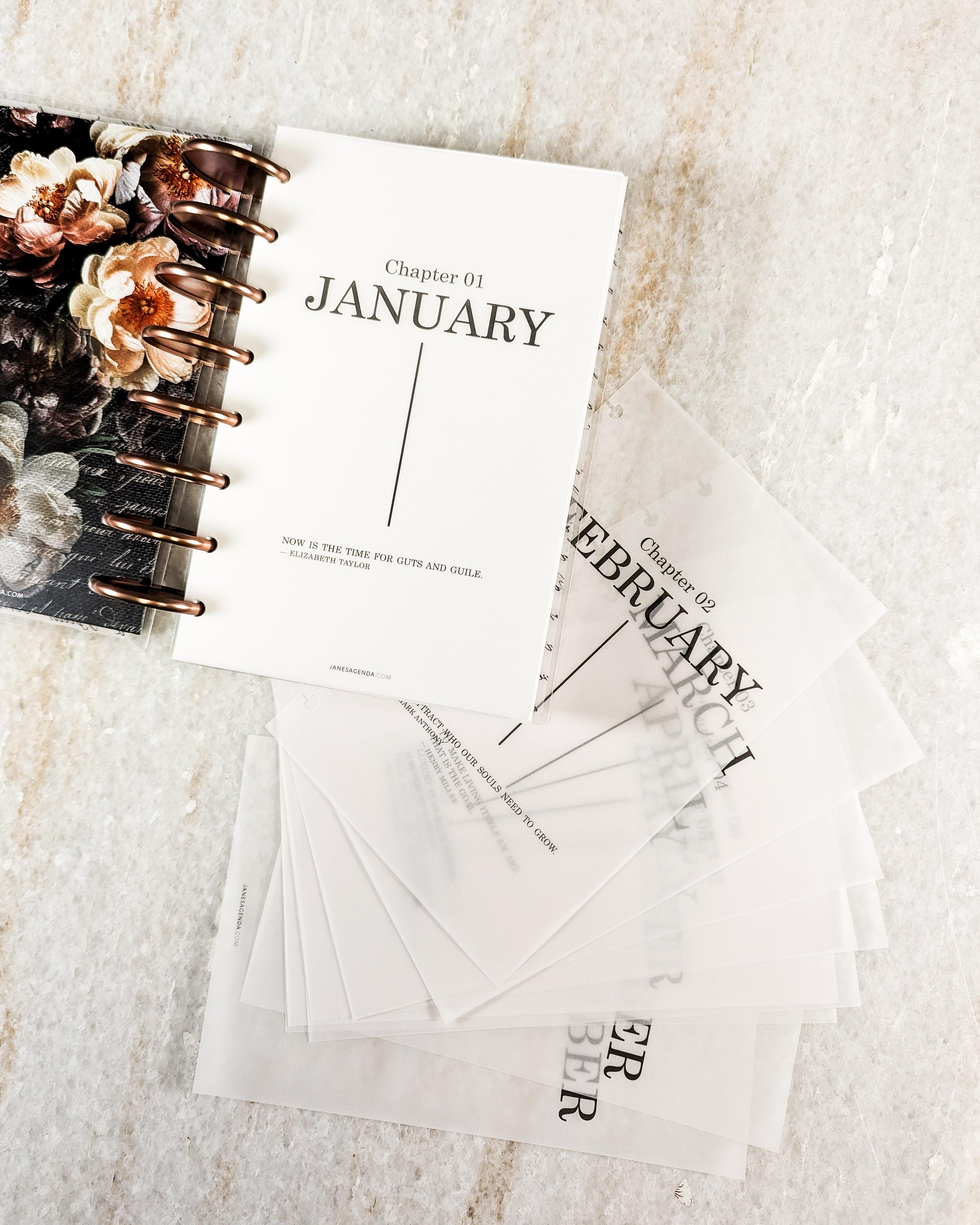Monthly vellum dashboard set for discbound planners, disc notebooks, and ring bount planner binder systems by Jane's Agenda.