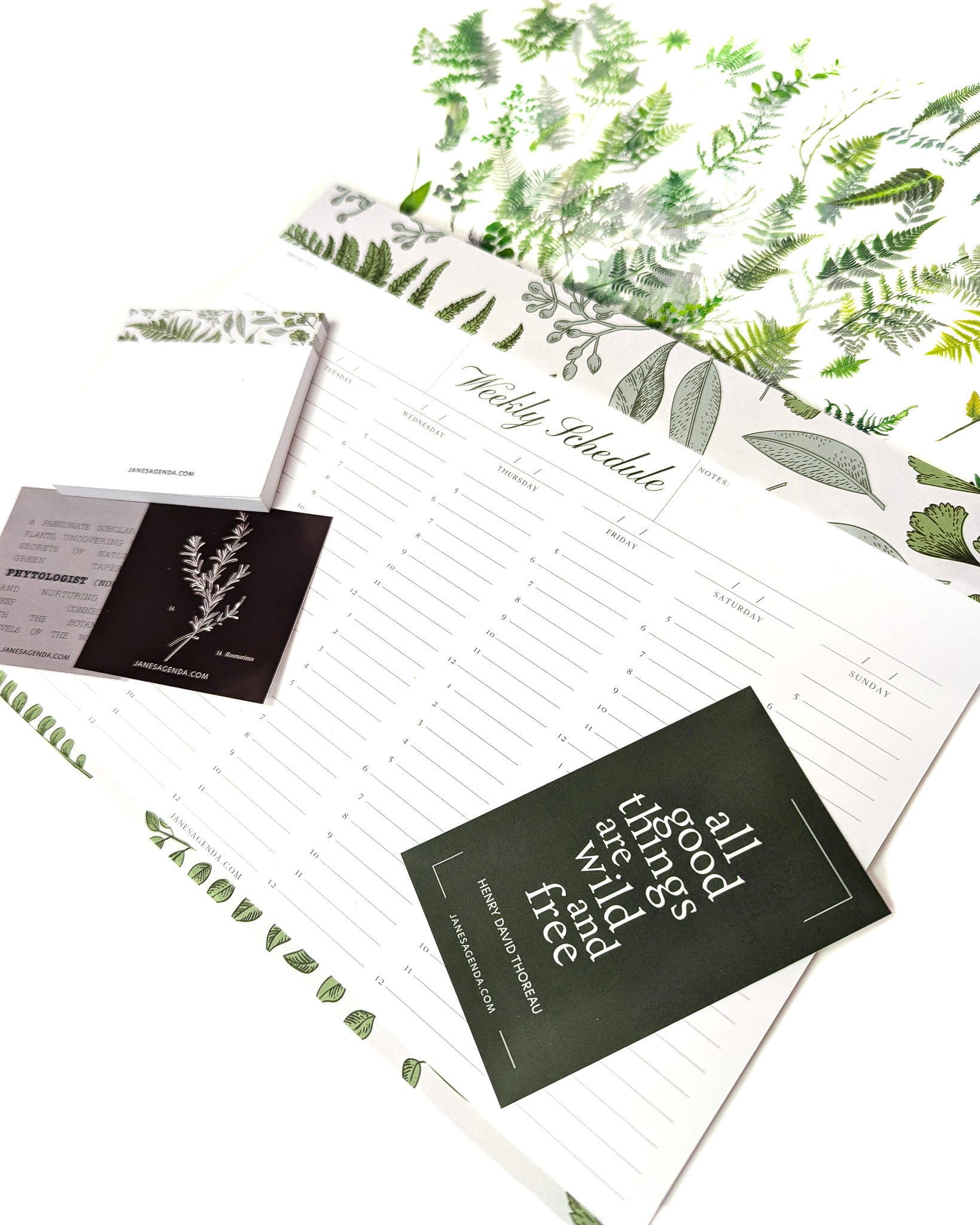 Botanical stationary and accessories set by Jane's Agenda.