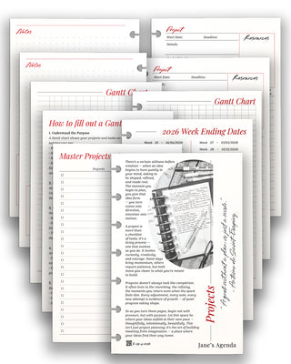 Projects and Goals Planner Inserts For Discbound Planner Systems by Jane's Agenda.