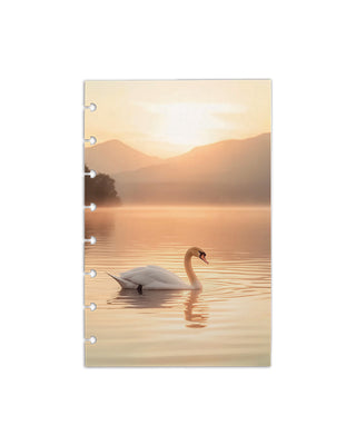 A swan on a lake at sunset design on discbound cardstock dashboard over a white background. 