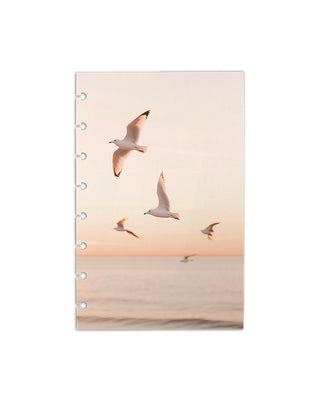 Seagulls over the ocean design on discbound cardstock dashboard over a white background. 