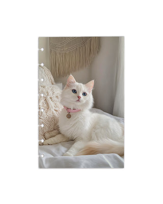 A lounging soft white cat with pink collar design on discbound cardstock dashboard over a white background. 