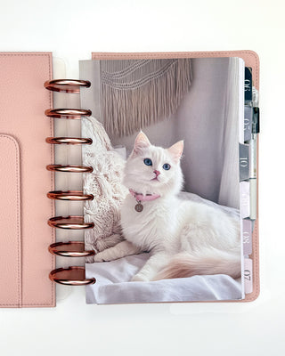 A lounging soft white cat with a pink collar design on a planner with Rose Gold discs and a Blush Vegan Leather Cover. 