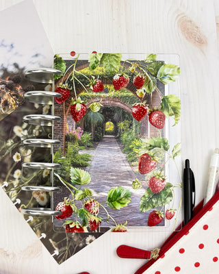 Jane's Agenda vibrant strawberry plastic cover with garden pathway Planner Dashboard -- botanical illustration and Metal Binding Discs — playful nature-inspired Discbound Planning accessory