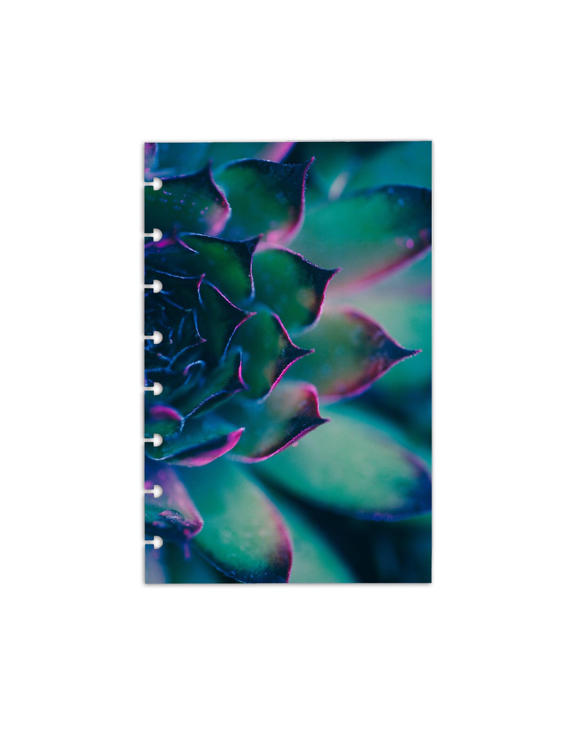 Bold Teal and Purple Succulent Nature Planner Dashboard