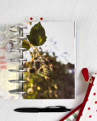 Jane's Agenda earthy wild blackberry botanical photography Planner Dashboard with Metal Binding Discs — nature-inspired Discbound Planning accessory for women