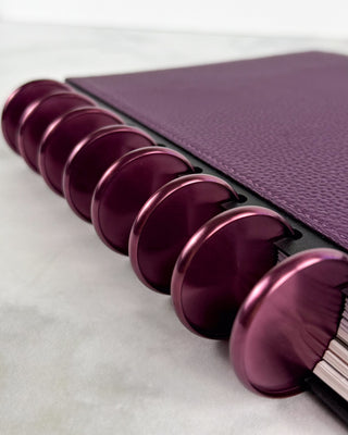 violet discs on a purple leather discbound planner.