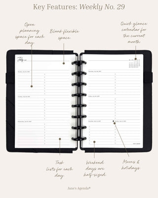 Weekly No 29 infographic featuring blank flexible space at the top, daily task list, dated with moons and holidays, and a quick lance calendar for the current month.