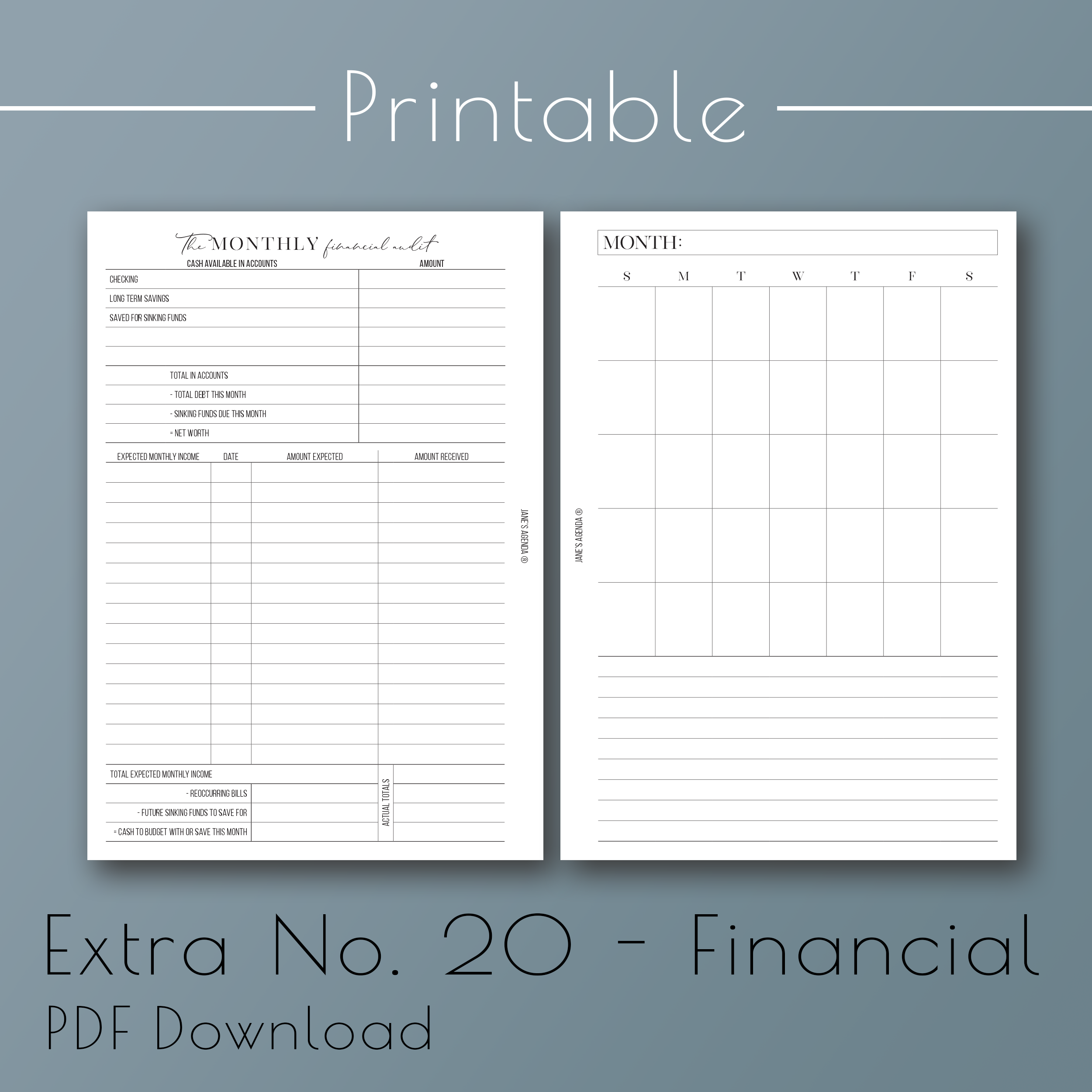 PRINTABLE: Financial Planning Planner Inserts