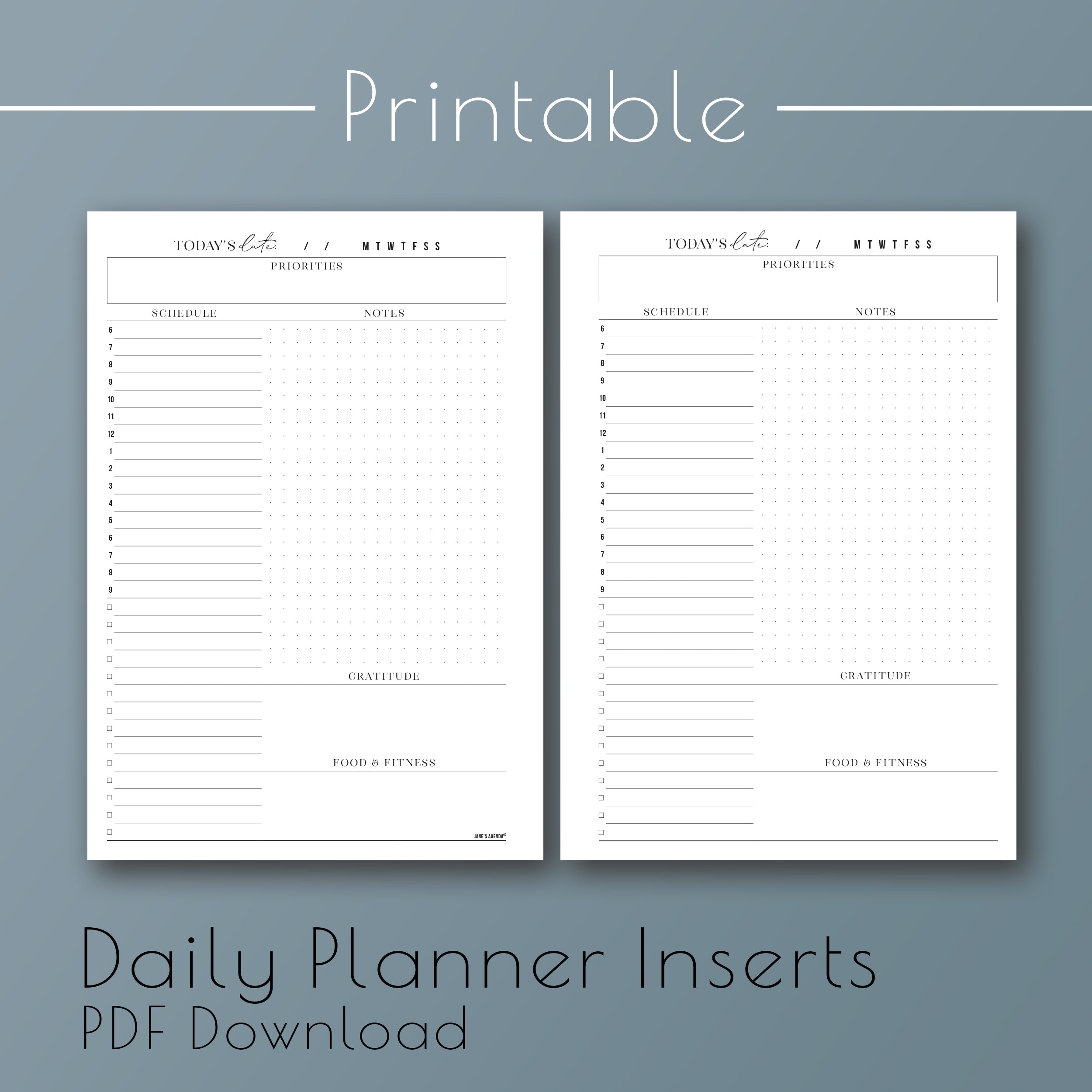 Jane's Agenda®  PRINTABLE: Daily Planner Inserts