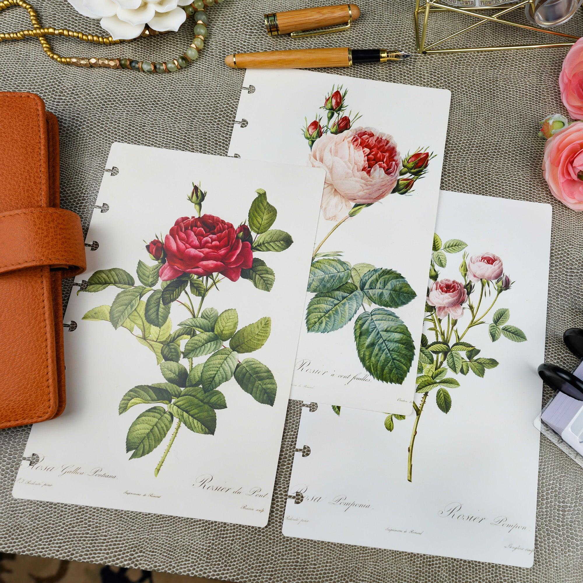 Vintage roses floral designs, printed planner dashboard for disc-bound and six ring planner systems by Jane's Agenda®.